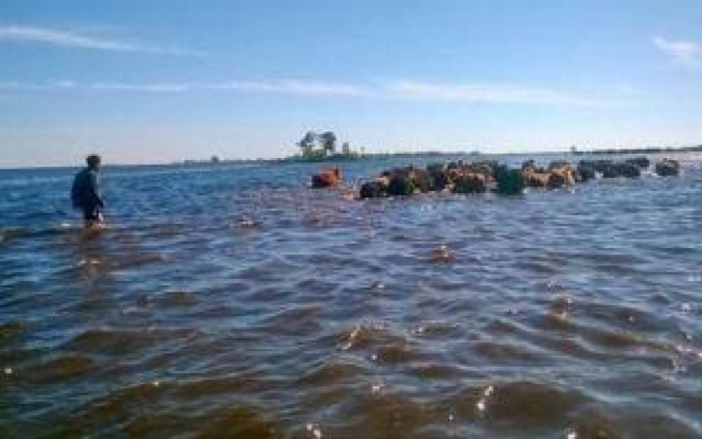 General Villegas: Las inundaciones provocaron la p�rdida de m�s de 450 puestos de trabajo
