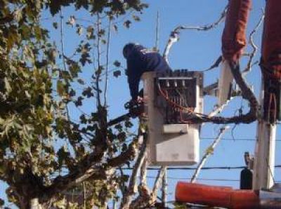 La poda indiscriminada y las demoras en la limpieza de las calles