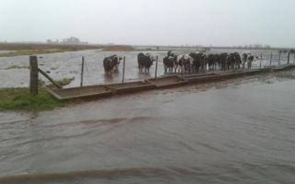 Jun�n: Asamblea de productores bonaerenses por las inundaciones en la Provincia