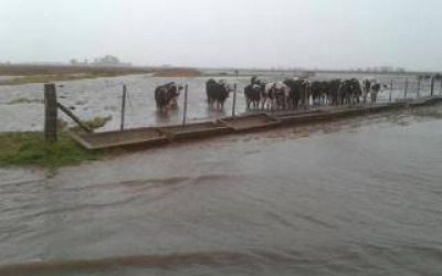 Jun�n: Asamblea de productores bonaerenses por las inundaciones en la Provincia
