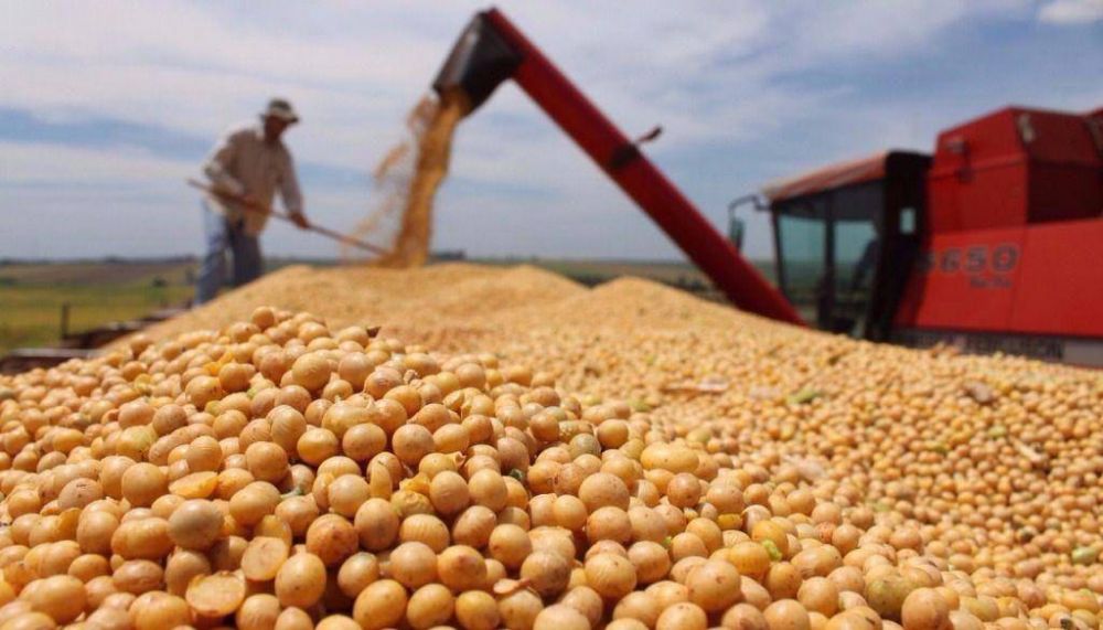El a�o arranc� bien para el agro, pero las lluvias generan da�os que alarman