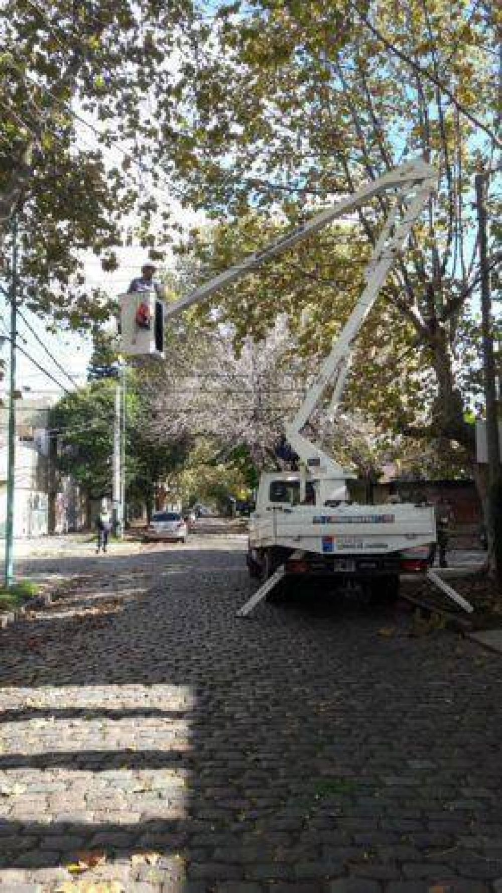 M�s de 800 vecinos ya solicitaron el permiso de poda