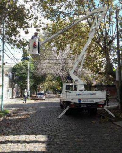 M�s de 800 vecinos ya solicitaron el permiso de poda