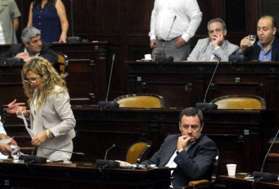 En el Senado, el peronismo dej� de llamarse FpV
