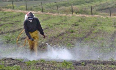 Advierten por falta de controles en uso de Agroqu�micos