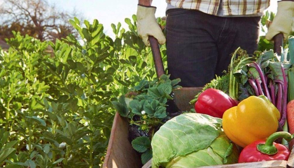 El sector productivo demanda investigaci�n