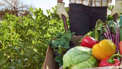 El sector productivo demanda investigaci�n