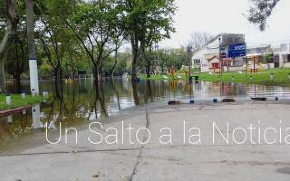 Tras la inundaci�n r�cord, otra vez se inunda Salto