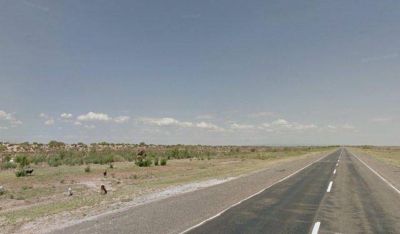 Terminaron de alambrar Ruta 20 para evitar el ingreso de animales a la calzada