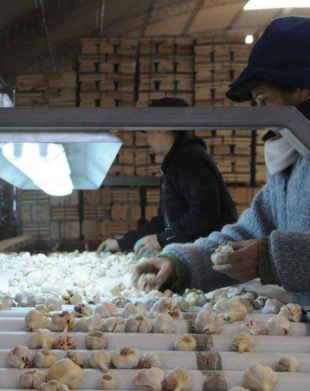 Mendoza deber� buscar nuevos mercados si Brasil entra en crisis