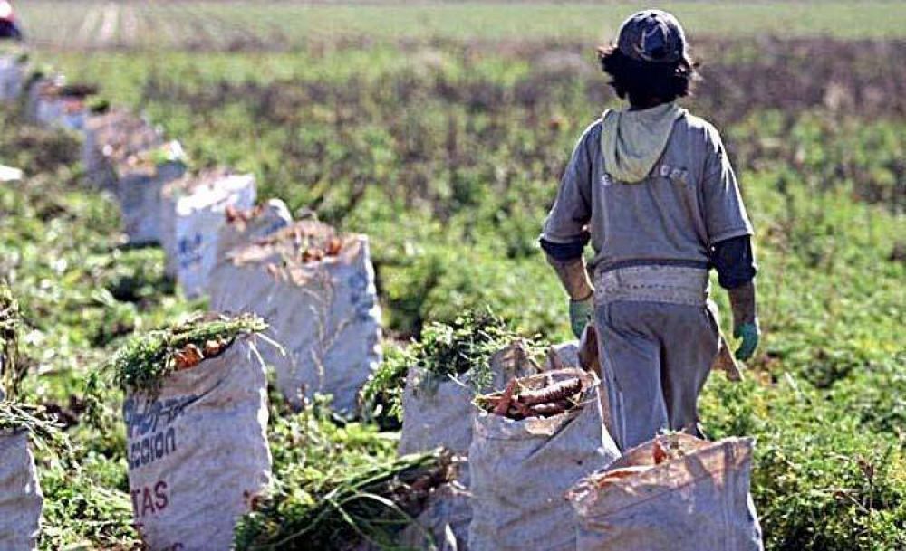 Buscan incentivar la producci�n agroecol�gica en Mar del Plata