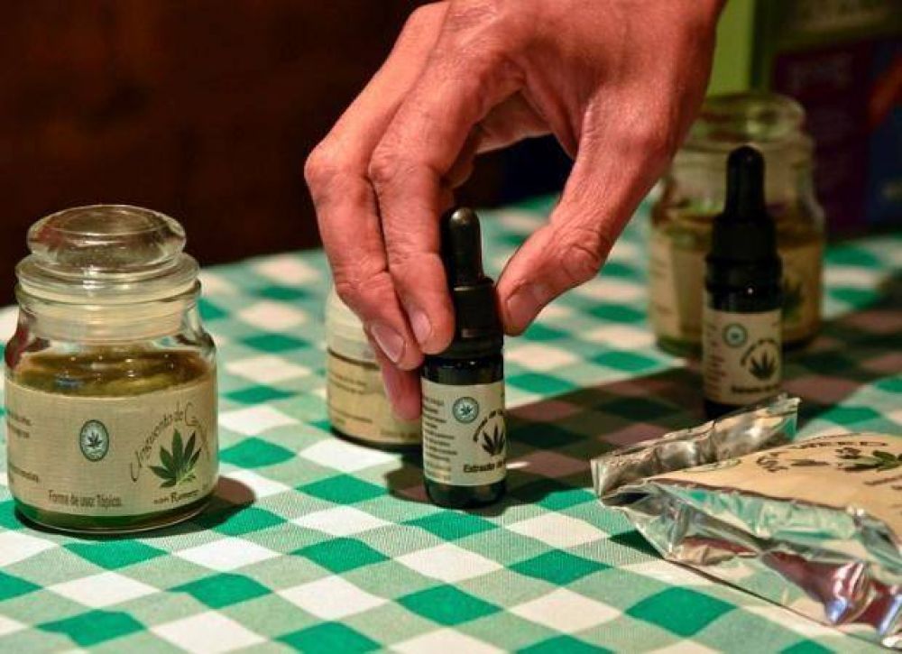 Cannabis medicinal: la Provincia trabaja para implementar su uso