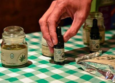 Cannabis medicinal: la Provincia trabaja para implementar su uso