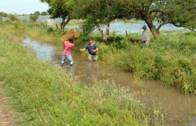 Piden la emergencia agropecuaria para el este del Chaco