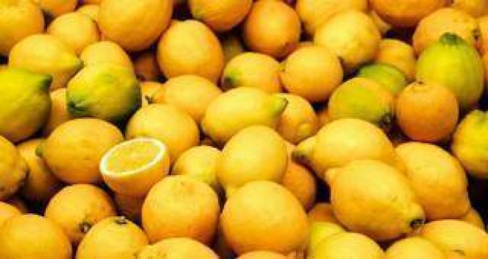 Acuerdan un plan de trabajo operativo para la exportaci�n de limones del NOA a EEUU