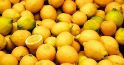 Acuerdan un plan de trabajo operativo para la exportaci�n de limones del NOA a EEUU