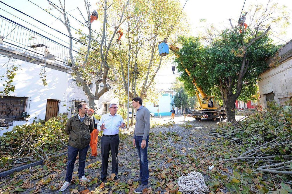 Julio Zamora dio inicio al plan de poda 2017