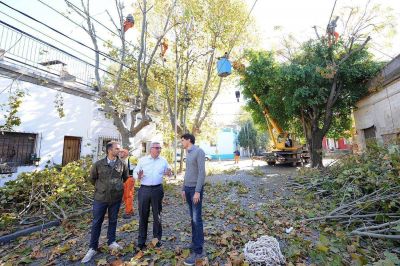 Julio Zamora dio inicio al plan de poda 2017