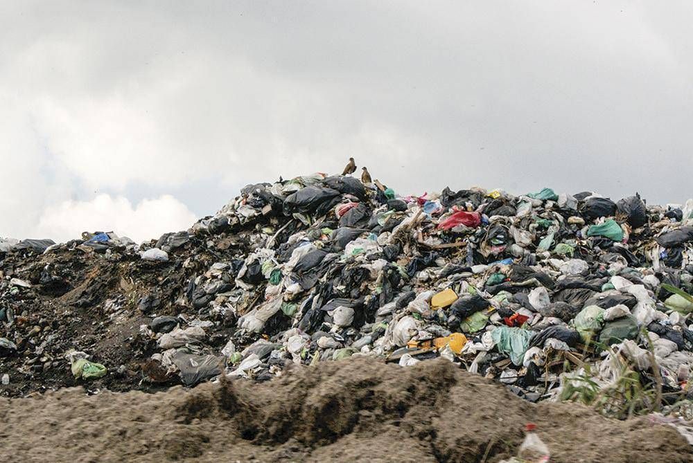 Piden el cierre del Basural en un plazo de 180 d�as