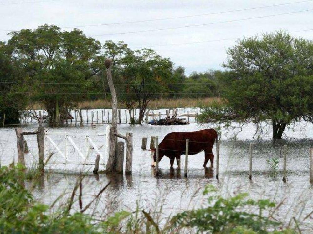 Provincia reclama a Naci�n los fondos comprometidos para asistir a los tamberos
