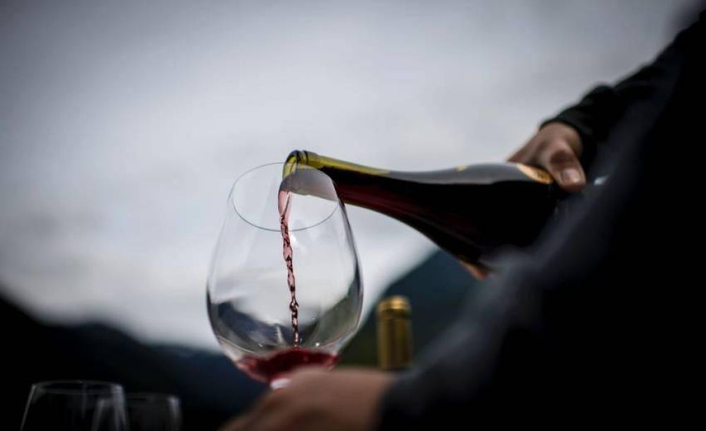 C�maras del Valle de Uco acusan a bodegas de incumplir precios pactados