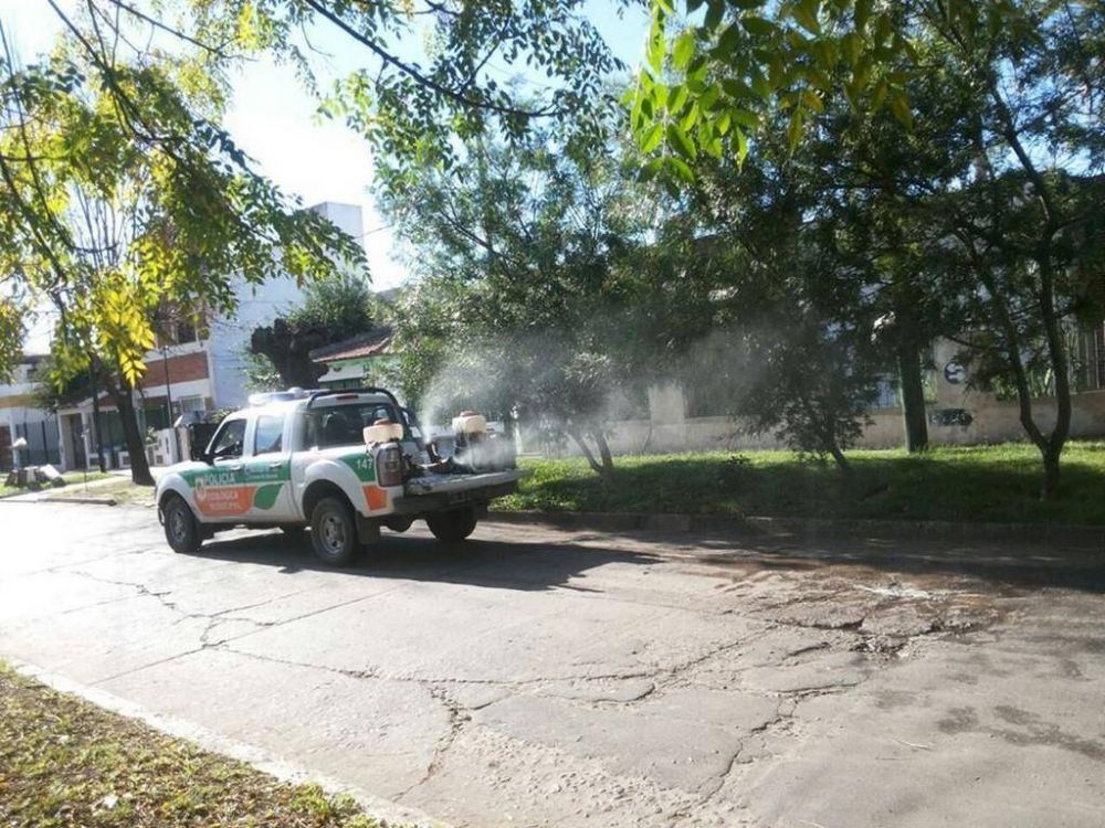 Fumigan y controlan plagas en calles, escuelas, parques y plazas
