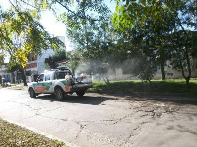 Fumigan y controlan plagas en calles, escuelas, parques y plazas