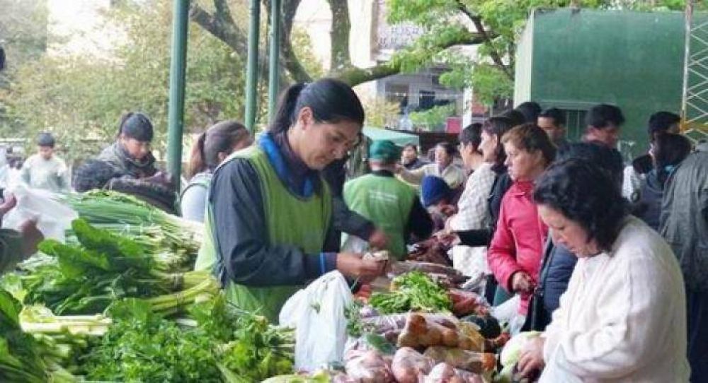 Productores anticipan escasez de mandioca y posible suba de precio