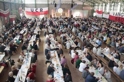 La UCR quiere �listas propias� para las PASO