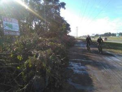 Basura en las calles, nueva medida para gestionar las ramas