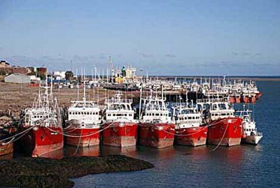 �La pesca marplatense est� en una crisis severa y se necesita la intervenci�n del Estado�