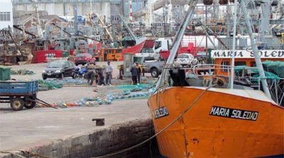 Mart�n Merlini: �El Puerto est� creciendo en t�rminos de operatividad de exportaci�n�
