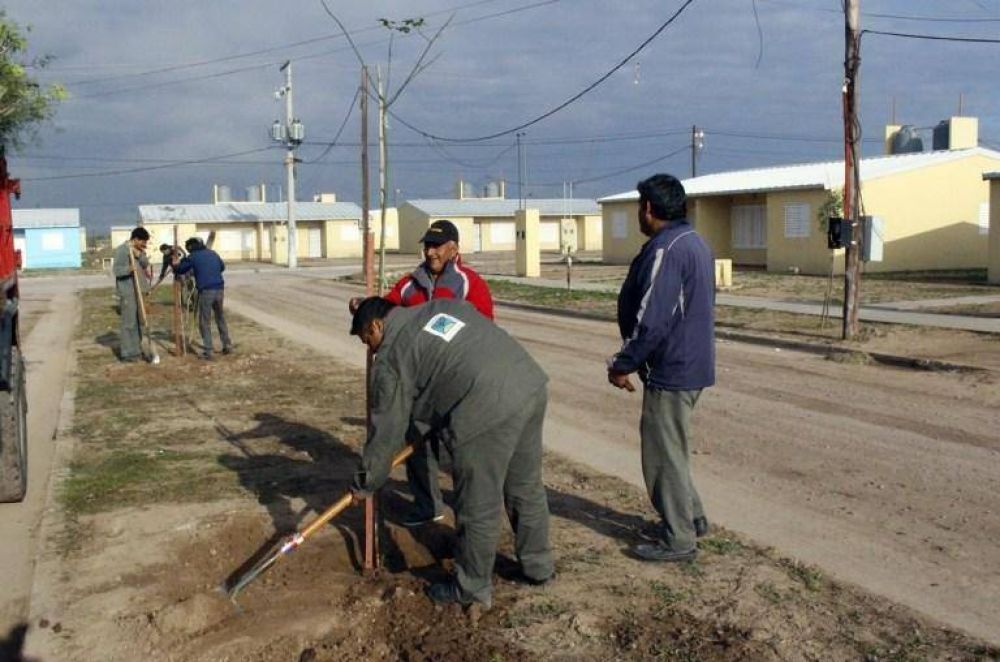El Municipio capitalino contin�a con la campa�a de arbolado 2017