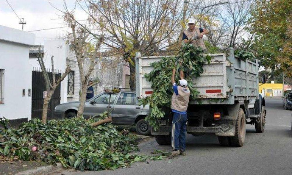 El Municipio realiza operativos de recolecci�n de ramas en los barrios