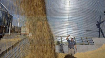La soja toc� un m�nimo en 14 meses y la cosecha se devalu� 2.000 millones de d�lares
