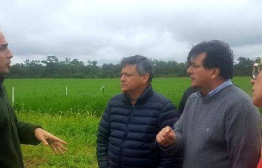 Peppo asegur� que �Agronea genera un impacto importante para la regi�n�