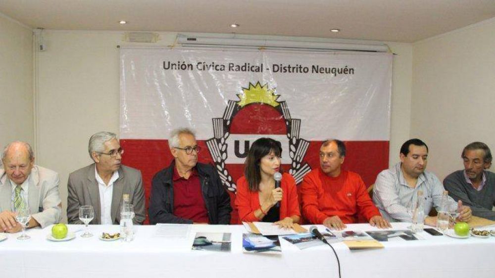 Sigue la novela de la UCR neuquina por 300 votos