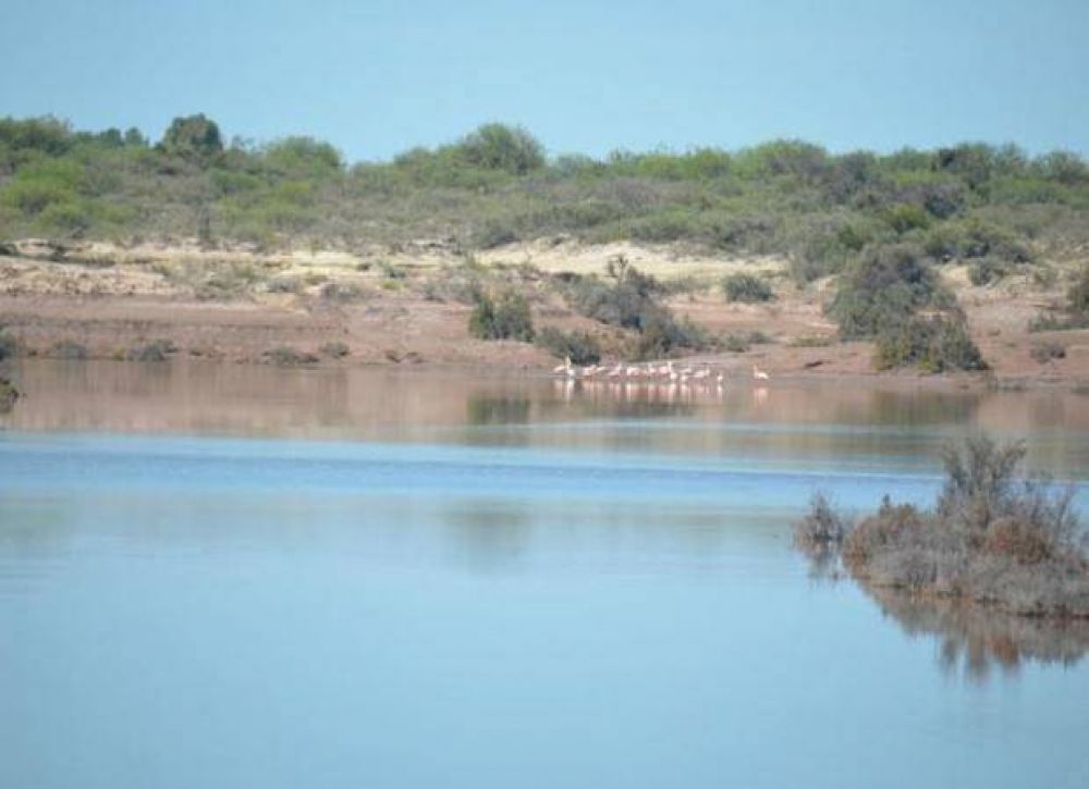 San Luis festejar� el D�a Mundial del Medio Ambiente en un sitio especial