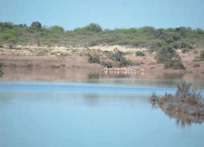 San Luis festejar� el D�a Mundial del Medio Ambiente en un sitio especial