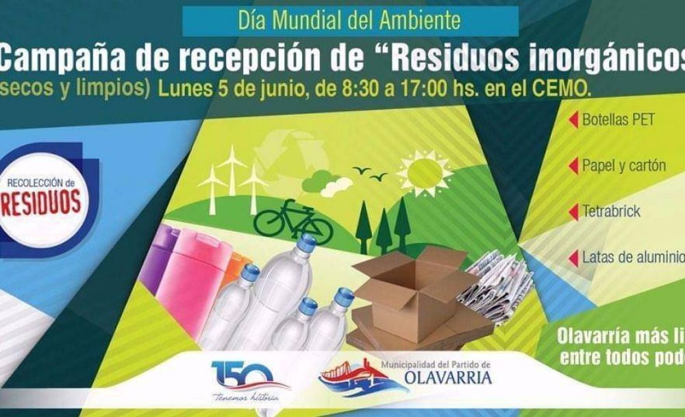 D�a Mundial del Ambiente: jornada de talleres