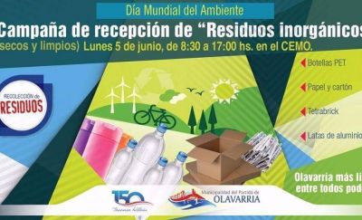 D�a Mundial del Ambiente: jornada de talleres
