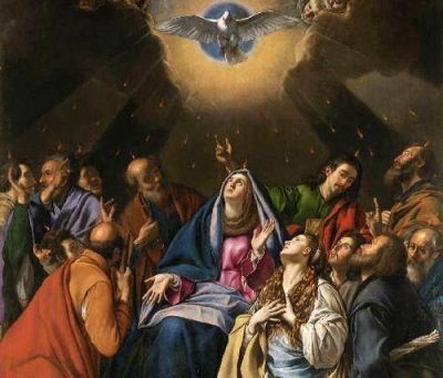 Mons. Arancedo: 