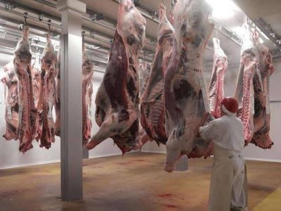 Jud�os y musulmanes realizan una acci�n para repudiar la prohibici�n del ritual kosher en B�lgica