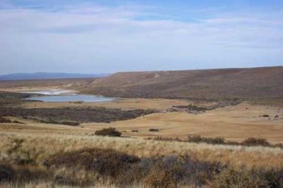 Das Neves apunt� contra los campos improductivos: �No vamos a permitir la especulaci�n