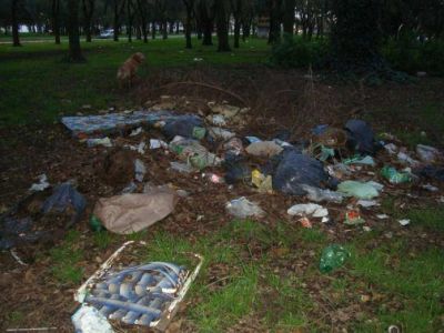 Denuncia de basural en Punta Mogotes