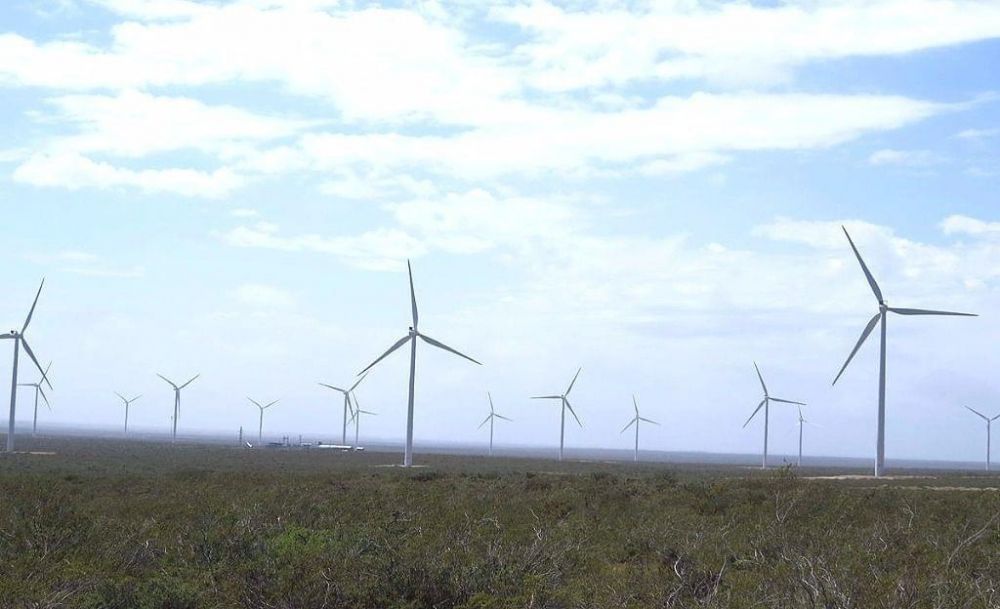 Chubut est� a la cabeza en Argentina como productora de energ�as limpias