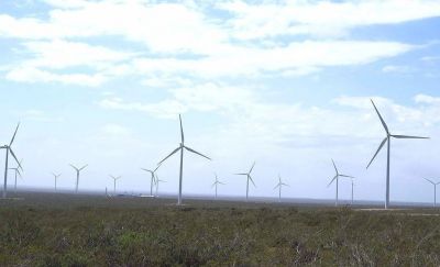 Chubut est� a la cabeza en Argentina como productora de energ�as limpias