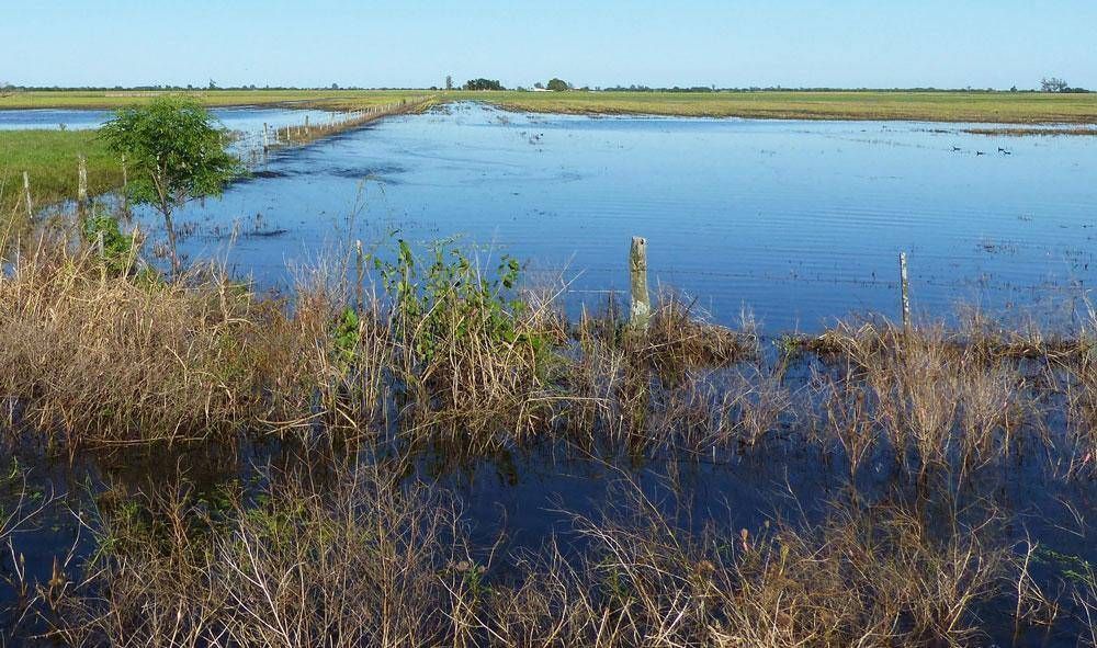 Fondo H�drico: Ziliotto denunci� que Naci�n discrimina a La Pampa
