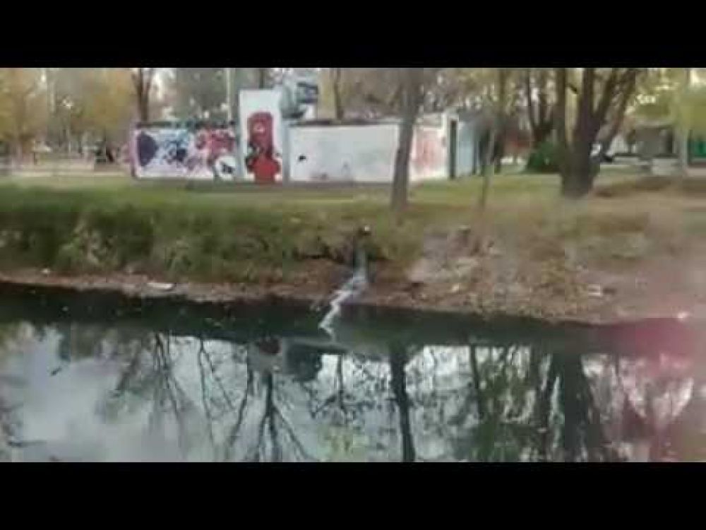 Vecinos vuelven a denunciar al EPAS
