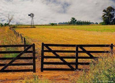 Mercado inmobiliario rural: el blanqueo no trajo inversiones